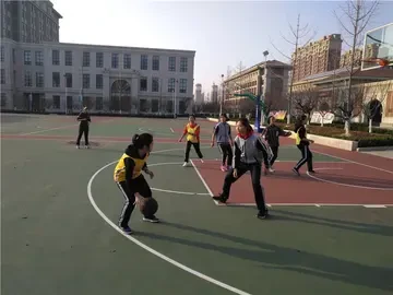 篮球双人训练计划怎么写_2